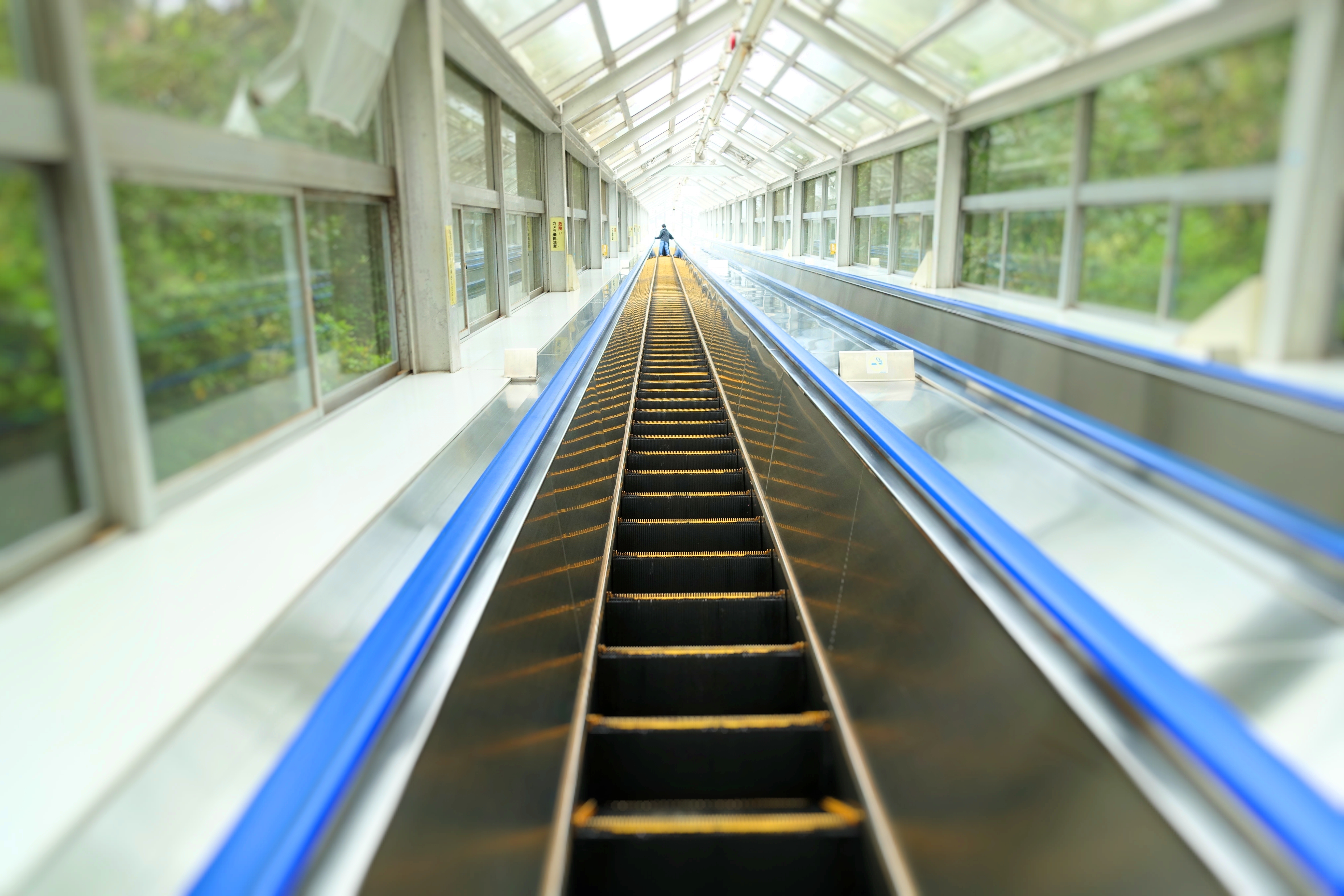 渦の道 大鳴門橋遊歩道 に実際に行ってみた ぷくぷく旅行記