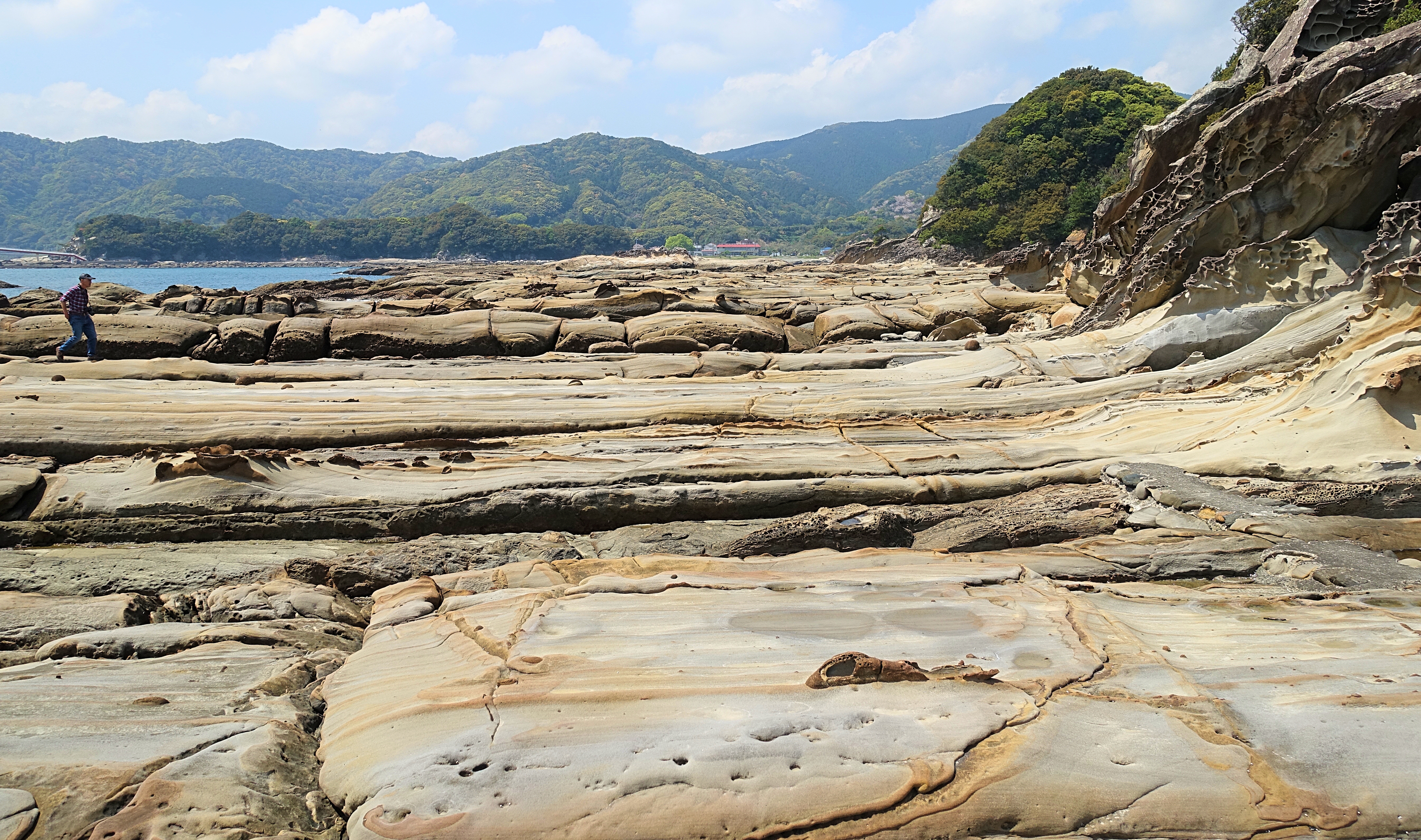 竜串海岸に行ってみた ぷくぷく旅行記