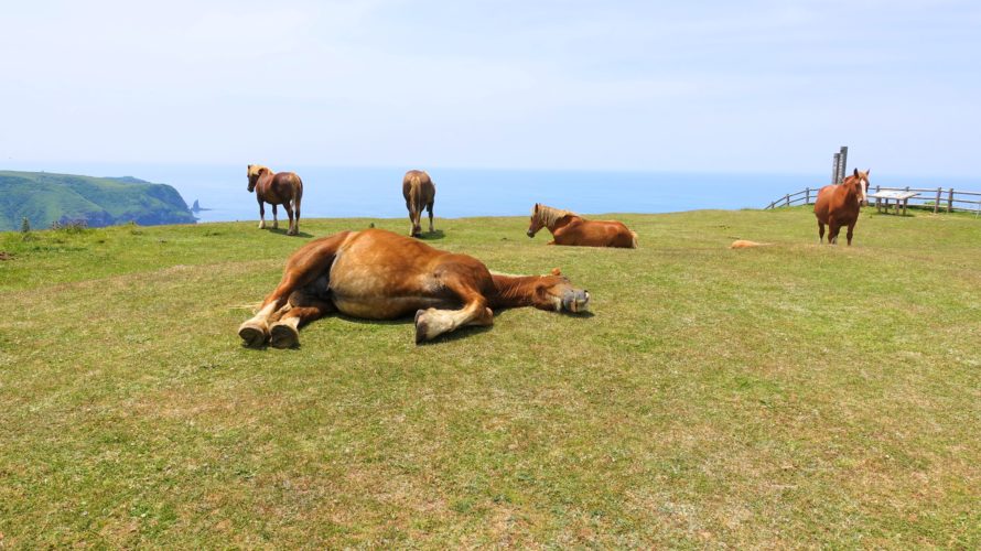 島根県のおすすめのマイナーで穴場な観光地ランキング ぷくぷく旅行記