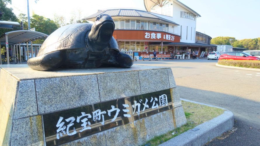 ウミガメと触れ合える道の駅・紀宝町ウミガメ公園に行ってみた